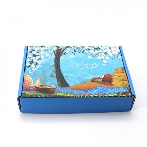 Tuck Subscription Shoe Packaging Print Colored Corrugated Paper Shipping Blue Custom Logo Mailer Box